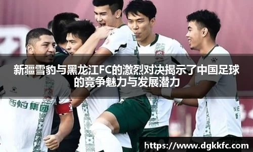 新疆雪豹与黑龙江FC的激烈对决揭示了中国足球的竞争魅力与发展潜力